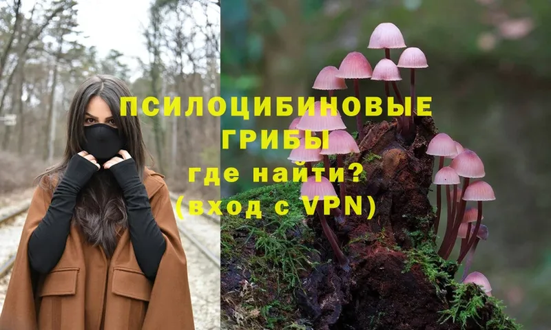 Галлюциногенные грибы MAGIC MUSHROOMS  Нефтегорск 